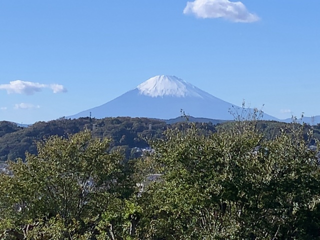 01-2 城山公園展望台から望む富士山.JPG