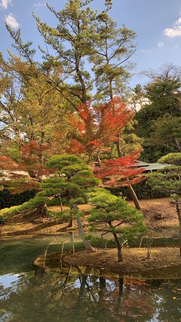 1123-1 三渓園.JPG