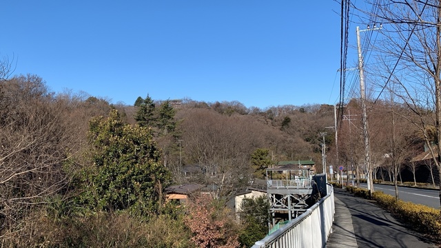 10-2022-01-22 生田緑地,枡形山へ.JPG