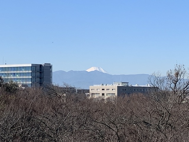 12-2021-12-21 枡形山展望台から富士山.JPG