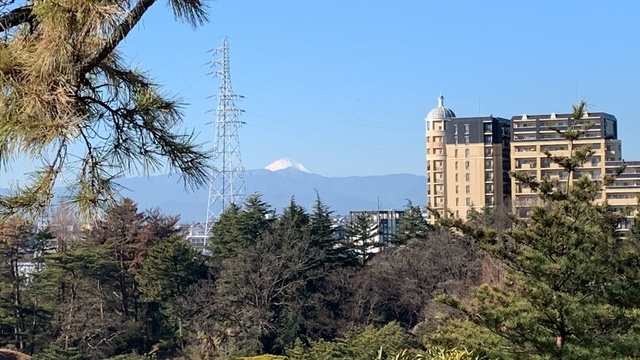 15-2022-01-16 西口展望広場からの富士山.JPG